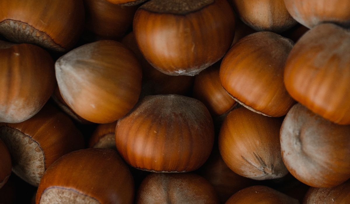 Using Beech Nuts and Leaves in the Kitchen
